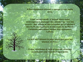 Il faut également donner à manger à nos petits amis. Il est recommandé  d’inclure dans notre aménagement paysager des plantes qui vont les nourrir : des arbres et des arbustes qui produisent des fruits ou des fleurs et des massifs de fleurs. Certaines mauvaises herbes font également l’affaire. Le suif est l'aliment le plus important pour les oiseaux en hiver. Fruits, arachides et noix et graines diverses constituent une nourriture appréciée. 