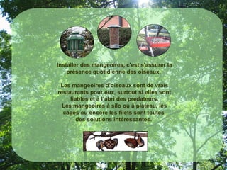 Installer des mangeoires, c'est s'assurer la présence quotidienne des oiseaux.  Les mangeoires d’oiseaux sont de vrais restaurants pour eux, surtout si elles sont fiables et à l’abri des prédateurs. Les mangeoires à silo ou à plateau, les cages ou encore les filets sont toutes  des solutions intéressantes.    