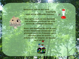 Nourriture, eau et abri sont  importants pour attirer différents oiseaux. Bien qu'un seul de ces éléments soit suffisant, combiner les trois donne de meilleurs résultats.  Alors, pas étonnant de voir la cour arrière fréquentée assidûment par plusieurs espèces d'oiseaux qui y viennent pour se nourrir, s'abreuver, se baigner, se reposer ou s'abriter.   