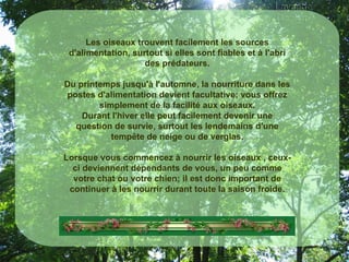 Les oiseaux trouvent facilement les sources d'alimentation, surtout si elles sont fiables et à l'abri des prédateurs. Du printemps jusqu'à l'automne, la nourriture dans les postes d'alimentation devient facultative; vous offrez simplement de la facilité aux oiseaux. Durant l'hiver elle peut facilement devenir une question de survie, surtout les lendemains d'une tempête de neige ou de verglas. Lorsque vous commencez à nourrir les oiseaux , ceux-ci deviennent dépendants de vous, un peu comme votre chat ou votre chien; il est donc important de continuer à les nourrir durant toute la saison froide. 