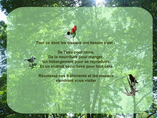     Tout ce dont les oiseaux ont besoin c'est :  De l’eau pour boire, De la nourriture pour manger, Un hébergement pour se reproduire Et un endroit sécuritaire pour tout cela Réunissez ces 4 éléments et les oiseaux viendront vous visiter    