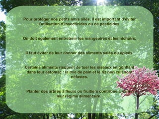 Pour protéger nos petits amis ailés, il est important d’éviter l’utilisation d’insecticides ou de pesticides. On doit également entretenir les mangeoires et les nichoirs. Il faut éviter de leur donner des aliments salés ou épicés. Certains aliments risquent de tuer les oiseaux en gonflant dans leur estomac : la mie de pain et le riz non cuit sont néfastes. Planter des arbres à fleurs ou fruitiers contribue à varier leur régime alimentaire.  