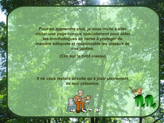 D.D. Pour en apprendre plus, je vous invite à aller visiter une page conçue spécialement pour aider les ornithologues en herbe à protéger de manière adéquate et responsable les oiseaux de nos jardins. (Clic sur le petit oiseau) Il ne vous restera ensuite qu’à jouir pleinement de leur présence. 