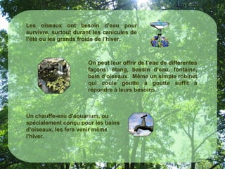     Les oiseaux ont besoin d’eau pour survivre, surtout durant les canicules de l’été ou les grands froids de l’hiver. Un chauffe-eau d'aquarium, ou spécialement conçu pour les bains d'oiseaux, les fera venir même l'hiver.  On peut leur offrir de l’eau de différentes façons: étang, bassin d’eau, fontaine, bain d’oiseaux.  Même un simple robinet qui coule goutte à goutte suffit à répondre à leurs besoins. 