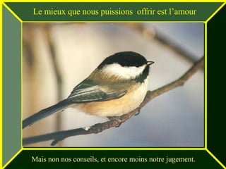 Le mieux que nous puissions  offrir est l’amour Mais non nos conseils, et encore moins notre jugement. 