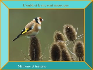 L’oubli et le rire sont mieux que Mémoire et tristesse 