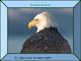 Si la paix est en toi, Il y place pour un autre esprit. 