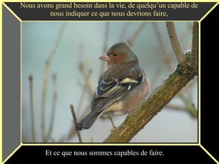 Nous avons grand besoin dans la vie, de quelqu’un capable de nous indiquer ce que nous devrions faire, Et ce que nous sommes capables de faire. 