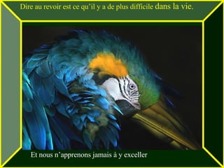 Dire au revoir est ce qu’il y a de plus difficile  dans la vie. Et nous n’apprenons jamais à y exceller 