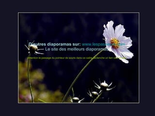 D’autres diaporamas sur:   www.lespasseurs.com Le site des meilleurs diaporamas [Attention le passage du pointeur de souris dans ce cadre déclenche un lien vers le site] 