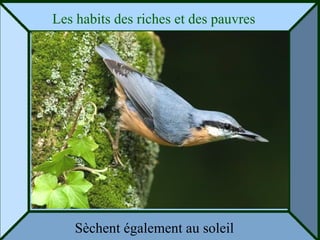 Les habits des riches et des pauvres  Sèchent également au soleil 