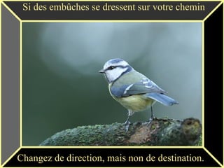 Si des embûches se dressent sur votre chemin Changez de direction, mais non de destination.   