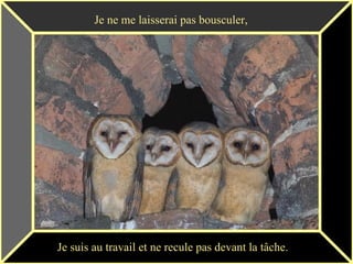 Je ne me laisserai pas bousculer, Je suis au travail et ne recule pas devant la tâche. 