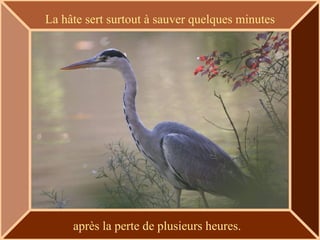 La hâte sert surtout à sauver quelques  minutes après la perte de plusieurs heures. 