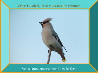 Visez le soleil,  et si vous deviez échouer , Vous serez encore parmi les étoiles. 