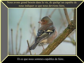 Nous avons grand besoin dans la vie, de quelqu’un capable de nous indiquer ce que nous devrions faire, Et ce que nous sommes capables de faire. 
