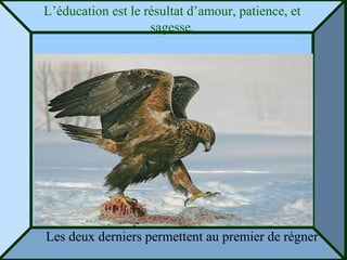 L’éducation est le résultat d’amour, patience, et sagesse. Les deux derniers permettent au premier de régner 