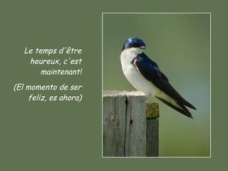 Le temps d'être heureux, c'est maintenant! (El momento de ser feliz, es ahora) 