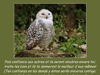 Fais confiance aux autres et ils seront sincères envers toi; traite-les bien et ils te donneront le meilleur d'eux-mêmes! (Ten confianza en los demás y éstos serán sinceros contigo; trátalos bien y te darán lo mejor de sí mismos) 