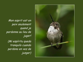 Mon esprit est en paix seulement quand je pardonne au lieu de juger! (Mi espíritu queda tranquilo cuando perdono en vez de juzgar) 