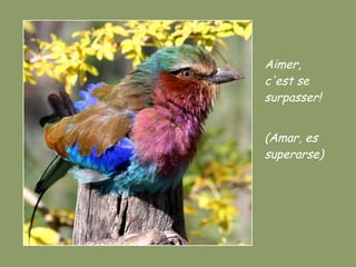 Aimer, c'est se surpasser! (Amar, es superarse) 