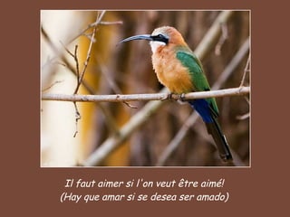 Il faut aimer si l'on veut être aimé! (Hay que amar si se desea ser amado) 