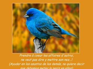 Prendre à coeur les affaires d'autrui, ne veut pas dire y mettre son nez...! (Ayudar en los asuntos de los demás, no quiere decir que debamos meter la nariz en ellos) 