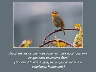 Nous savons ce que nous sommes, mais nous ignorons ce que nous pourrions être! (Sabemos lo que somos, pero ignoramos lo que podríamos haber sido) 