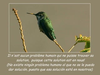 Il n'est aucun problème humain qui ne puisse trouver sa solution,  puisque cette solution est en nous! (No existe ningún problema humano al que no se le pueda dar solución, puesto que esa solución está en nosotros) 