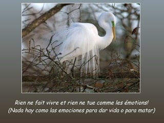 Rien ne fait vivre et rien ne tue comme les émotions! (Nada hay como las emociones para dar vida o para matar) 