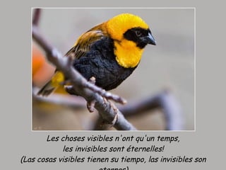 Les choses visibles n'ont qu'un temps, les invisibles sont éternelles! (Las cosas visibles tienen su tiempo, las invisibles son eternas) 