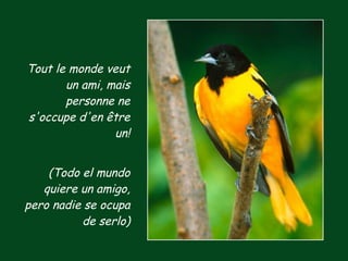 Tout le monde veut un ami, mais personne ne s'occupe d'en être un! (Todo el mundo quiere un amigo, pero nadie se ocupa de serlo) 