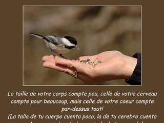 La taille de votre corps compte peu, celle de votre cerveau compte pour beaucoup, mais celle de votre coeur compte par-dessus tout! (La talla de tu cuerpo cuenta poco, la de tu cerebro cuenta mucho pero, sobre todo cuenta la de tu corazón). 