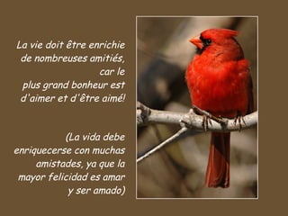 La vie doit être enrichie de nombreuses amitiés, car le plus grand bonheur est d'aimer et d'être aimé! (La vida debe enriquecerse con muchas amistades, ya que la mayor felicidad es amar y ser amado) 