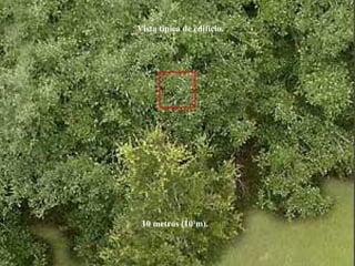 10 metros (101
m).
Vista típica de edifício.
 