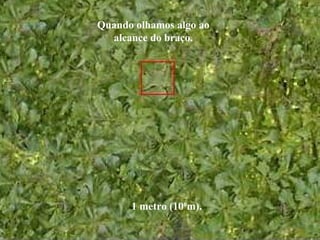 1 metro (100
m).
Quando olhamos algo ao
alcance do braço.
 