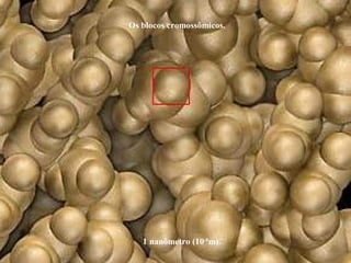 1 nanômetro (10-9
m).
Os blocos cromossômicos.
 