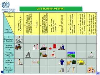 www.oitcinterfor.orgG e s t i ó n d e l c o n o c i m i e n t o e n l a f o r m a c i ó n p r o f e s i o n a lFernando Vargas
40
2
CIENCIASNATURALES
YAPLICADAS,YOCUPA-
CIONESRELACIONADAS
3
SALUD
4
CIENCIASSOCIALES,
EDUCACIÓN,SERVICIO
GUBERNAM.YRELIGION
5
ARTE,CULTURA,
RECREACIÓNY
DEPORTES
6
VENTASYSERVICIOS
7
OCUPACIONESEXCLU-
SIVASDELAINDUSTRIA
PRIMARIA
8
OFICIOS,OPERADORES
EQUIPOYTRANSPORTE
YOCUPACIONESAFINES
0
Ocupaciones
de Dirección
Nivel de
Preparación
A
Nivel de
Preparación
B
Nivel de
Preparación
C
1
FINANZASY
ADMINISTRACIÓN
9
OCUPACIONESEXCLUSI-
VASDEINDUSTRIASDE
PROCESAM.YFABRICAC.
YSUMIN.SERV.PUBLICOS
Nivel de
Preparación
D
AREAS
DE
DESEMPEÑO
NIVELES
DE
PREPARACION
UN ESQUEMA DE MNC:
 