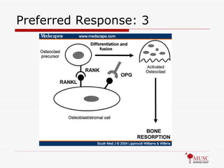 Preferred Response: 3 