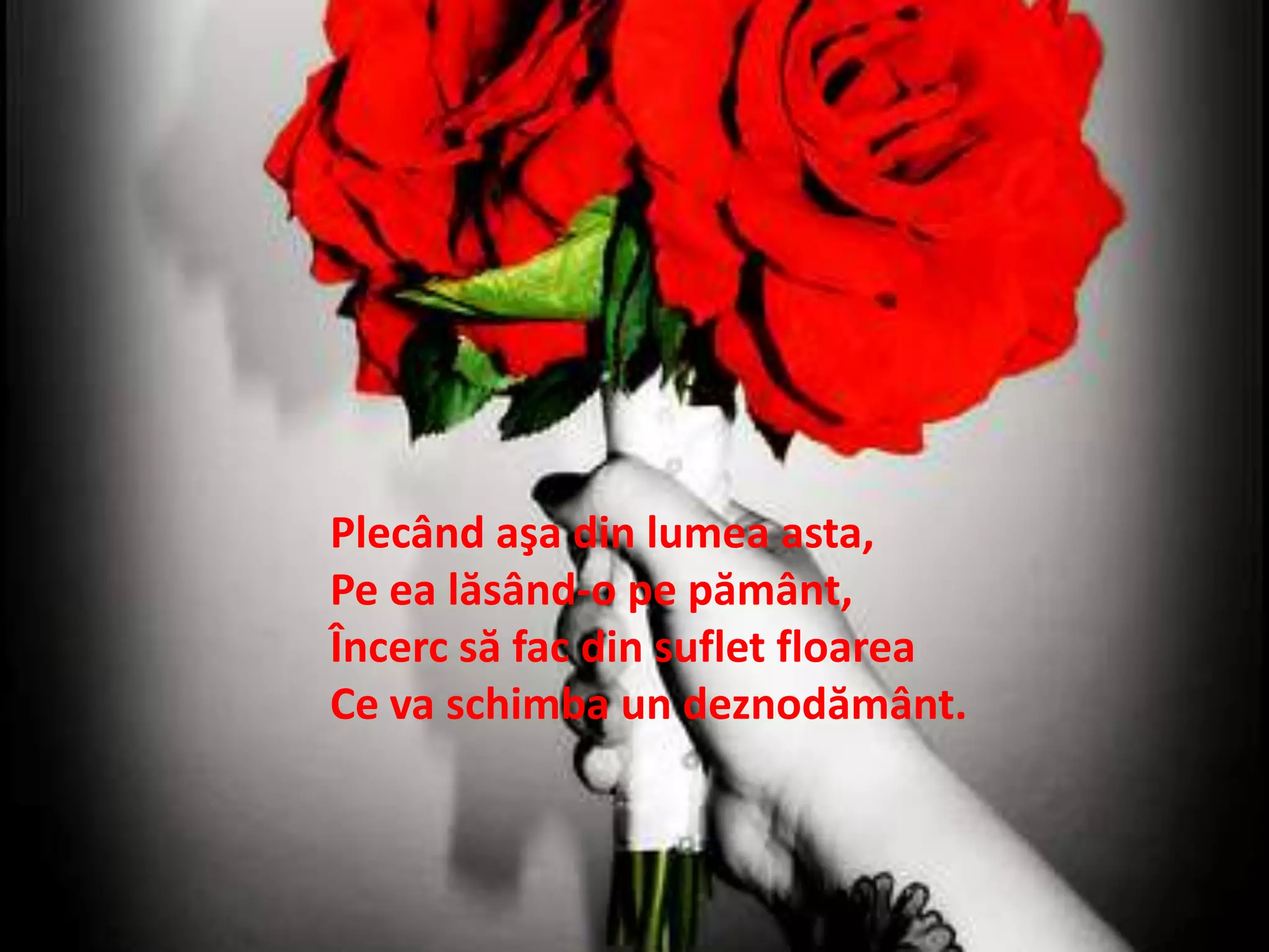 Plecândaşadinlumeaasta,Peealăsând-o pepământ,Încercsă fac dinsufletfloareaCe va schimba un deznodământ.