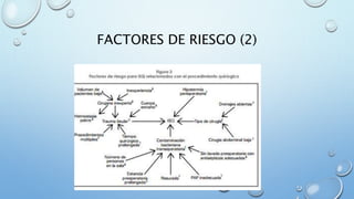 FACTORES DE RIESGO (2) 
 