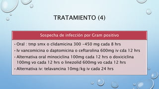 TRATAMIENTO (4) 
Sospecha de infección por Gram positivo 
•Oral : tmp smx o clidamicina 300 -450 mg cada 8 hrs 
• Iv vancomicina o daptomicina o ceftarolina 600mg iv cda 12 hrs 
• Alternativa oral minociclina 100mg cada 12 hrs o doxiciclina 
100mg vo cada 12 hrs o linezolid 600mg vo cada 12 hrs 
•Alternativa iv: telavancina 10mg/kg iv cada 24 hrs 
 