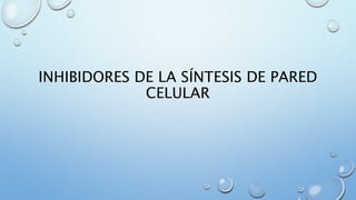 INHIBIDORES DE LA SÍNTESIS DE PARED 
CELULAR 
 
