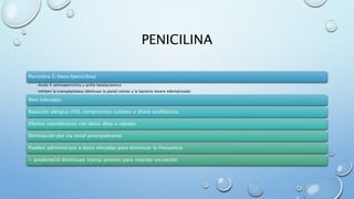 PENICILINA 
Penicilina G (bencilpenicilina) 
•Acido 6 aminopenicilina y anillo betalactamico 
•Inhiben la transpeptidasa (destruye la pared celular y la bacteria muere edematizada) 
Bien toleradas 
Reacción alérgica (5%), compromiso cutáneo a shock anafiláctico 
Efectos neurotóxicos con dosis altas o rápidas 
Eliminación por vía renal principalmente 
Pueden administrase a dosis elevadas para disminuir la frecuencia 
+ probenecid disminuye transp aniones para retardar excreción 
 