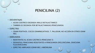PENICILINA (2) 
• DESVENTAJAS 
• ACIDO GÁSTRICO DEGRADA ANILLO BETALACTAMICO 
• TAMBIEN SE DEGRADA POR BETALACTAMASAS (PENICILINASA) 
• ESPECTRO 
• GRAM POSITIVOS, COCOS GRAMNEGATIVOS, T. PALLIDUM, NO ACCIÓN EN OTROS GRAM 
NEG 
• DERIVADOS 
• RESISTENTES AL ACIDO GÁSTRICO (PENICILINA V) 
• ISOXAZOLIL PENICILINAS RESISTENTES A PENICILINASA (DICLOXCILINA, OXACILINA 
FLUCOXACILINA) 
• ESPECTRO AMPLIADO (GRAM NEG ) AMOXIILINA 
 
