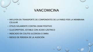 VANCOMICINA 
• INFLUYEN EN TRANSPORTE DE COMPONENTES DE LA PARED POR LA MEMBRANA 
CELULAR 
• ÚTILES SOLAMENTE CONTRA GRAM POSITIVO 
• GLUCOPEPTIDO, ESTABLE CON ACIDO GÁSTRICO 
• INDICADO EN COLITIS ULCEROSA O SMRA 
• RIESGO DE PERDIDA DE LA AUDICIÓN 
 