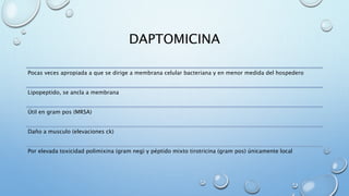 DAPTOMICINA 
Pocas veces apropiada a que se dirige a membrana celular bacteriana y en menor medida del hospedero 
Lipopeptido, se ancla a membrana 
Útil en gram pos (MRSA) 
Daño a musculo (elevaciones ck) 
Por elevada toxicidad polimixina (gram neg) y péptido mixto tirotricina (gram pos) únicamente local 
 