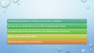 Coenzima que actua en síntesis de purinas y timidina 
En caso de su insuficiencia se inhibe la duplicación celular 
Se obtiene del acido dihidrofolico por dihidrofolato reductasa 
DHF se deriva de acido fólico 
Bacterias producen su acido fólico 
 