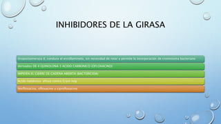 INHIBIDORES DE LA GIRASA 
(tropoiisomerasa II, conduce el enrollamineto, sin necesidad de rotar y permite la incorporación de cromosoma bacteriano 
derivados DE 4 QUINOLONA 3 ACIDO CARBONICO (OFLOXACINO) 
IMPIDEN EL CIERRE DE CADENA ABIERTA (BACTERICIDA) 
Acido nalidixico eficaz contra Gram neg 
Norfloxacina, ofloxacino y ciprofloxacino 
 
