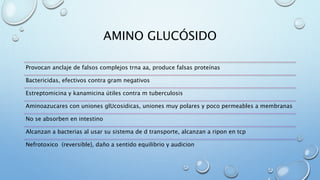 AMINO GLUCÓSIDO 
Provocan anclaje de falsos complejos trna aa, produce falsas proteínas 
Bactericidas, efectivos contra gram negativos 
Estreptomicina y kanamicina útiles contra m tuberculosis 
Aminoazucares con uniones glUcosidicas, uniones muy polares y poco permeables a membranas 
No se absorben en intestino 
Alcanzan a bacterias al usar su sistema de d transporte, alcanzan a ripon en tcp 
Nefrotoxico (reversible}, daño a sentido equilibrio y audicion 
 